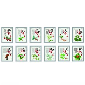 中药系列海报