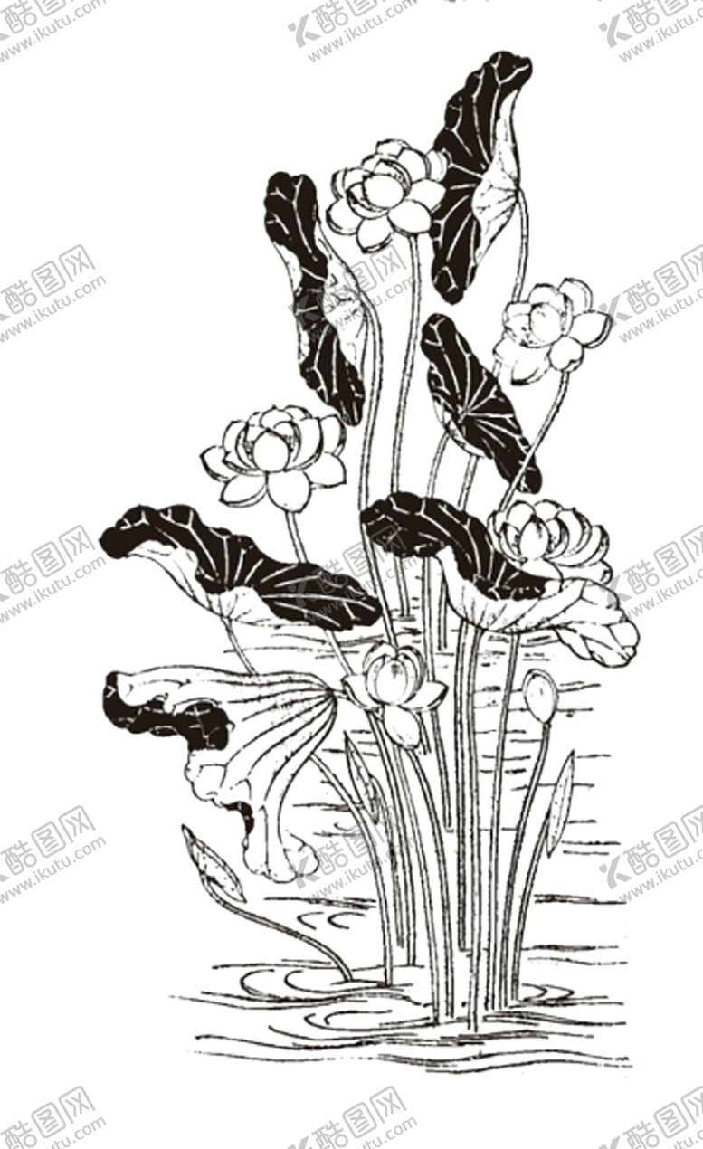 编号：10211306261129264769【酷图网】源文件下载-水墨荷花粉色荷花荷花意境