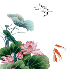 荷花素材手绘叶夏至背景立夏手绘
