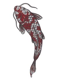 鲤鱼插画