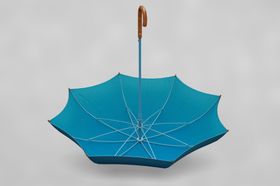 雨伞样机