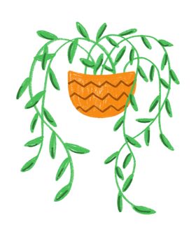 植物插画