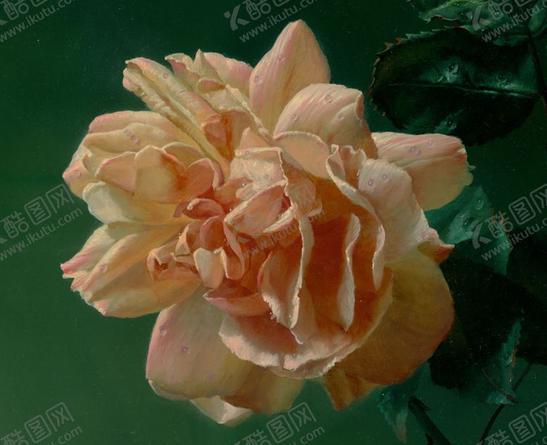 编号：97322301202029361731【酷图网】源文件下载-花卉静物油画