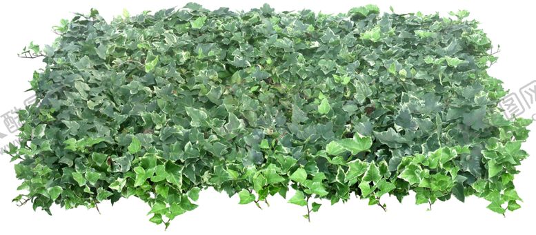 编号：11334209251757145811【酷图网】源文件下载-成片花