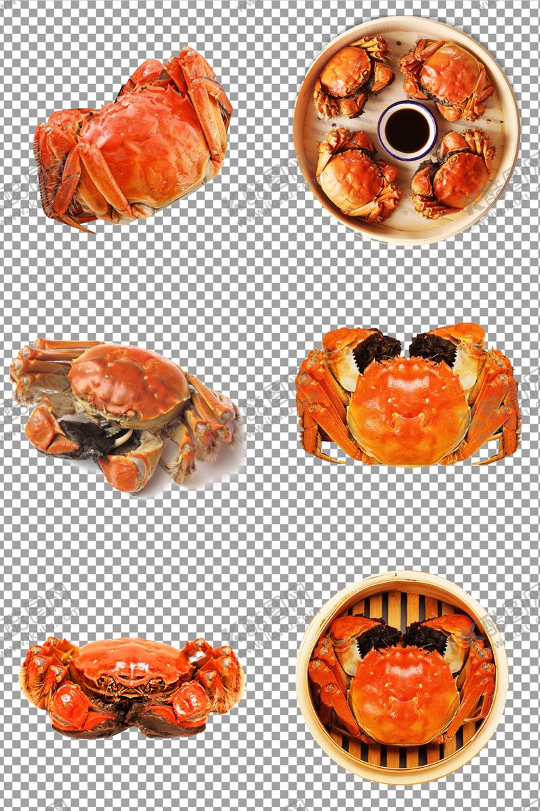 编号：86763009192118143434【酷图网】源文件下载-清蒸螃蟹