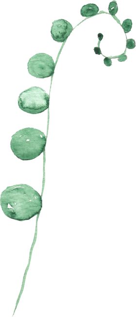 海报元素花草元素展架元素