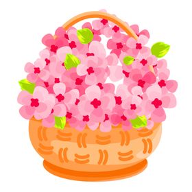 鲜花装饰