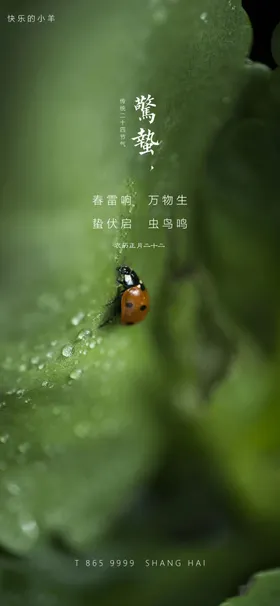 惊蛰节气海报