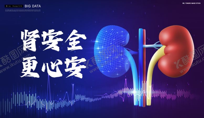 编号：12121702092259494802【酷图网】源文件下载-肾安全