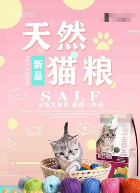 猫粮宣传海报单页