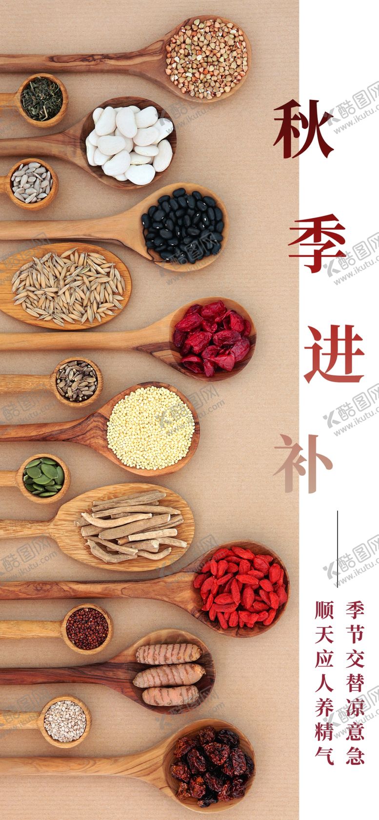 编号：62397705181626003051【酷图网】源文件下载-手机壁纸