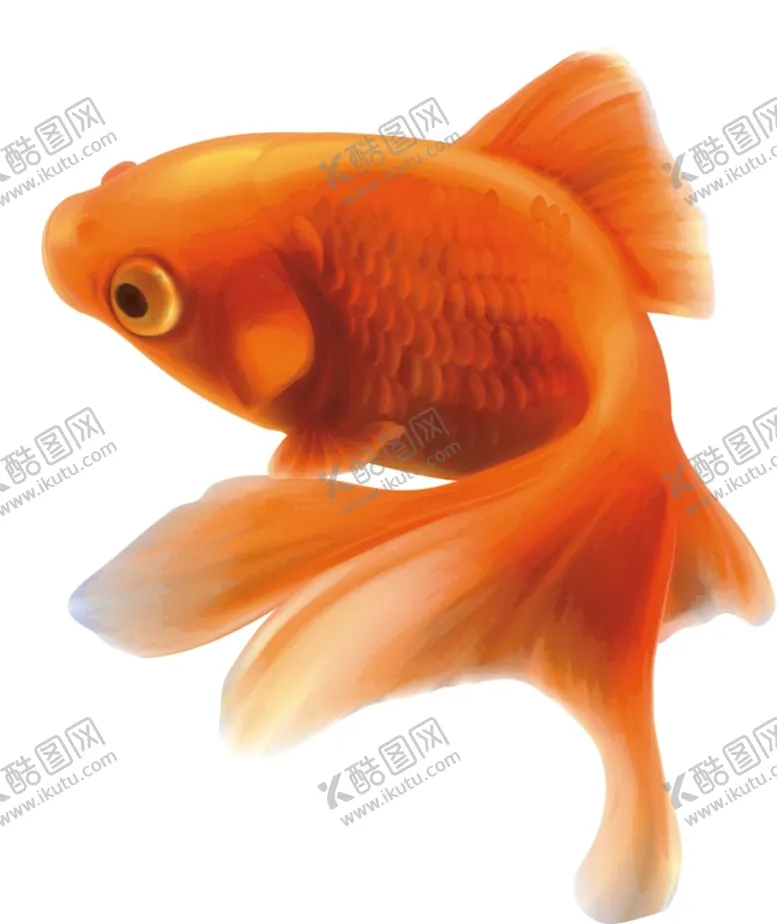编号：09876210061143004156【酷图网】源文件下载-金鱼