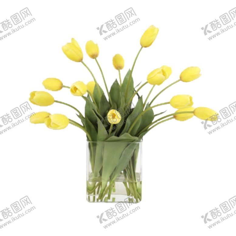 编号：68028009270542041444【酷图网】源文件下载-免抠背景花草树木