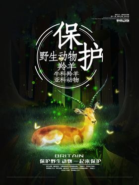 室内动物园宣传海报