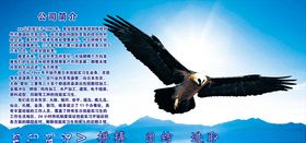 公司简介企业文化