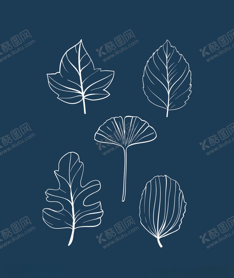 编号：91006311021316202774【酷图网】源文件下载-树叶