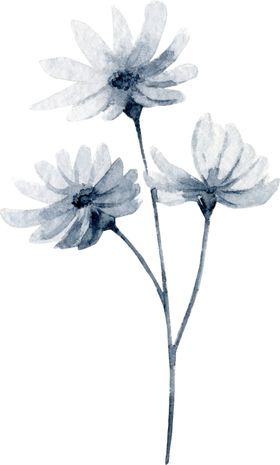 水彩绘画花朵树枝装饰