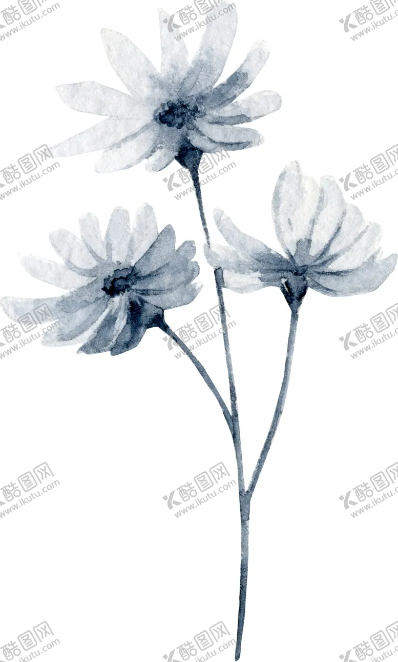 编号：56271406250920391974【酷图网】源文件下载-水彩绘画花朵树枝装饰