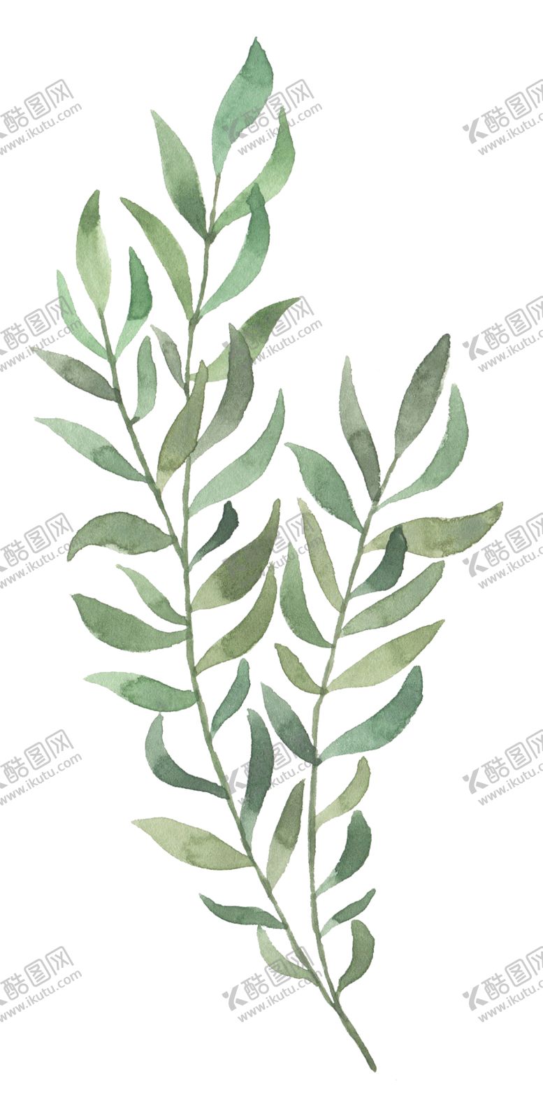 编号：34428405112249101528【酷图网】源文件下载-手绘植物花卉