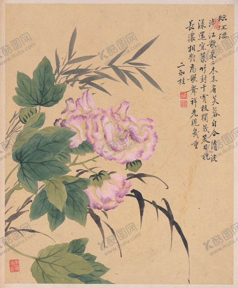 编号：29084406280018324034【酷图网】源文件下载-中国风花鸟工笔画