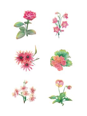 鲜花