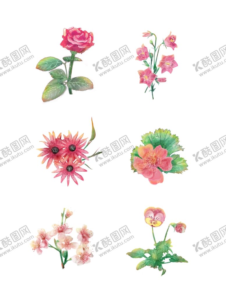 编号：60146005082328487851【酷图网】源文件下载-鲜花