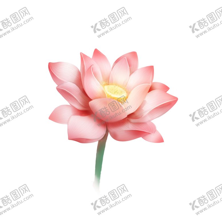 编号：52392005182141042861【酷图网】源文件下载-荷花