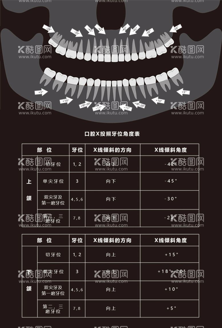 编号：98393810142211241991【酷图网】源文件下载-医院放射科口腔X投照牙位角度表