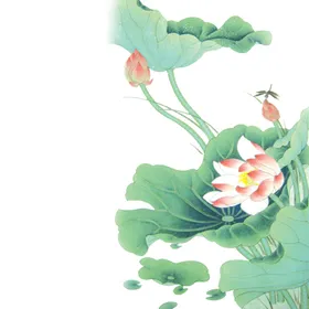 中国风荷叶荷花绘画