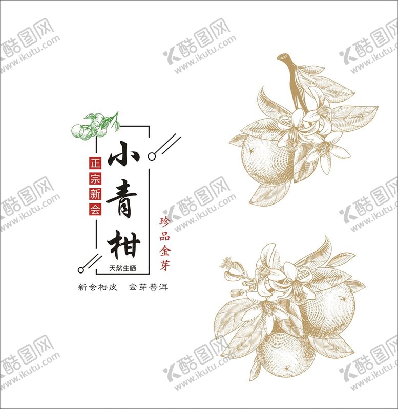 编号：71221810241331248875【酷图网】源文件下载-小青柑 柑普 矢量