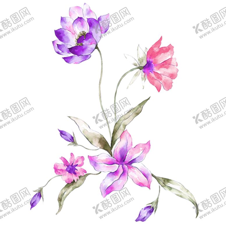 编号：85375209152103374324【酷图网】源文件下载-手绘花草牡丹花园元素素材