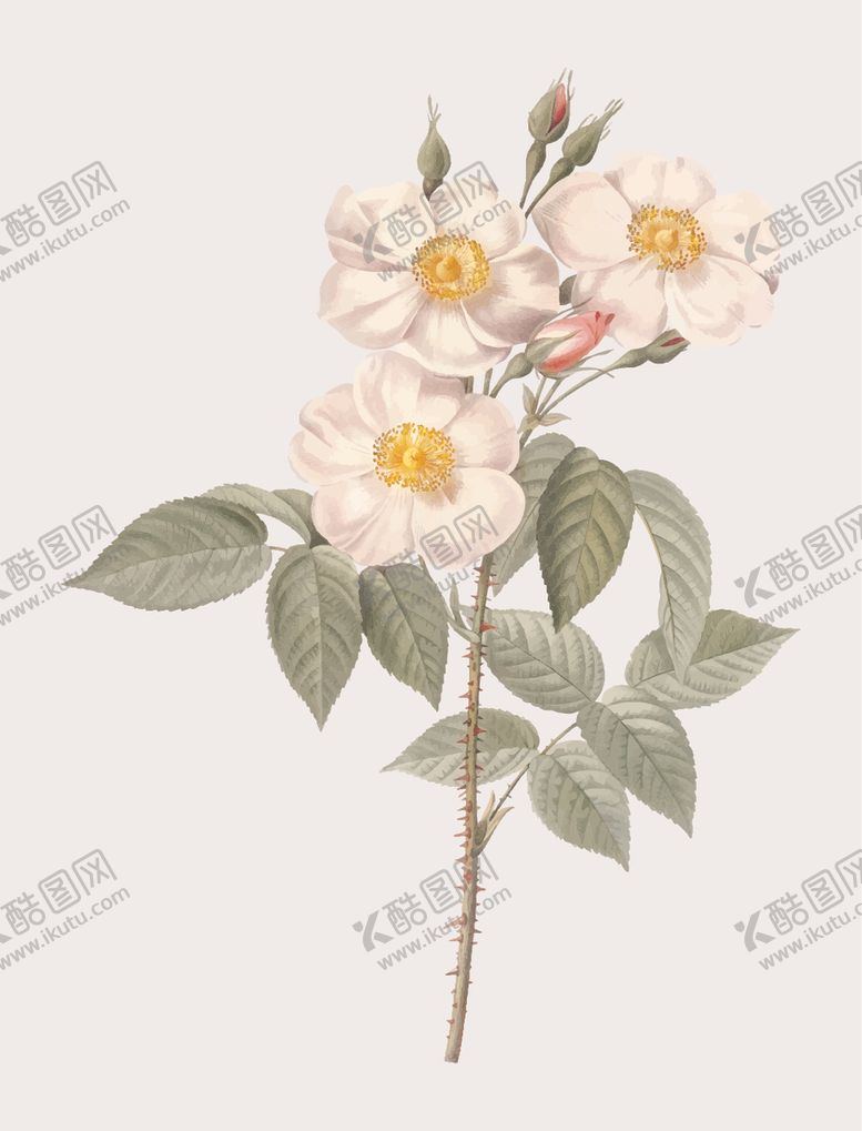 编号：21288307031203505298【酷图网】源文件下载-花纹