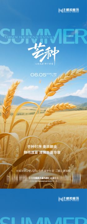 芒种二十四节气节日海报麦芒麦田