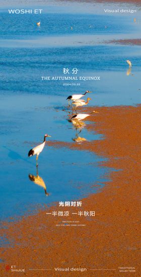秋分节气海报