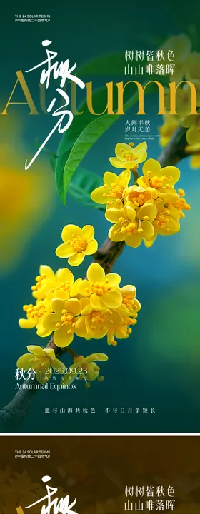 秋分节气系列海报天桂花唯美