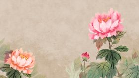 牡丹水墨插画
