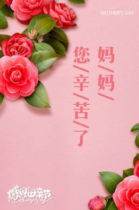 妈妈辛苦了