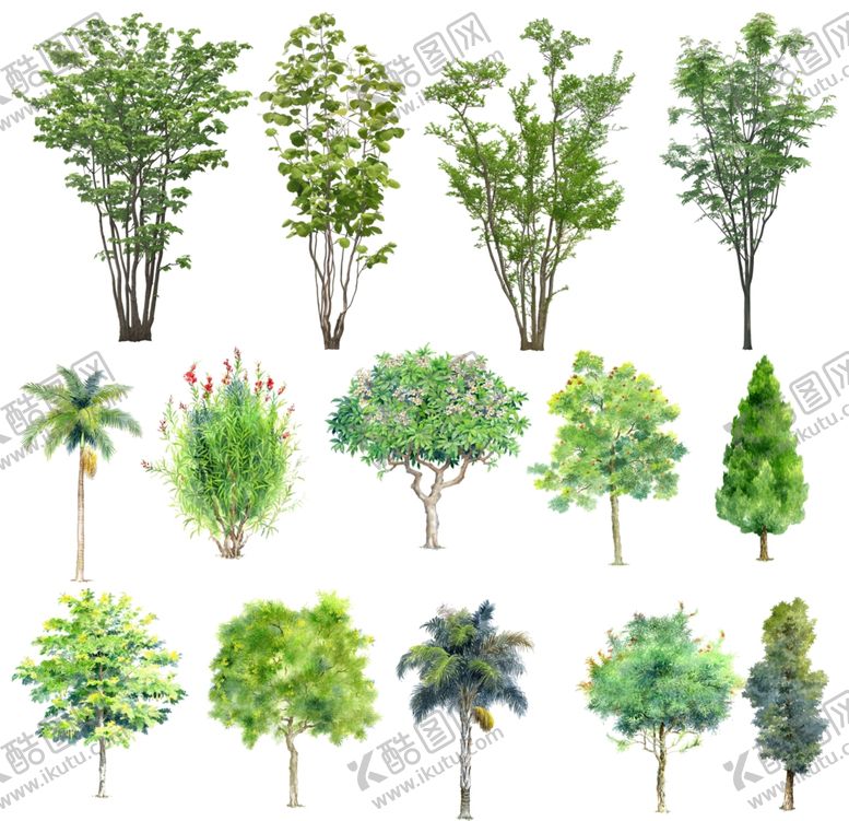 编号：40199102100518027579【酷图网】源文件下载-植物