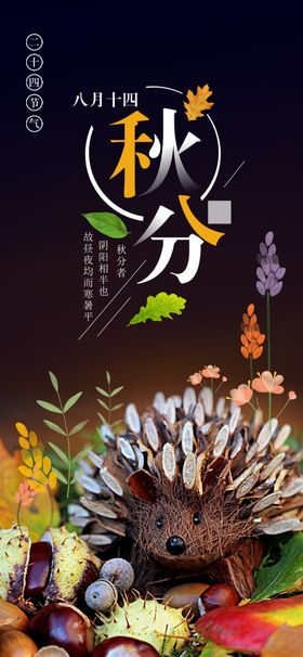 秋分手机海报