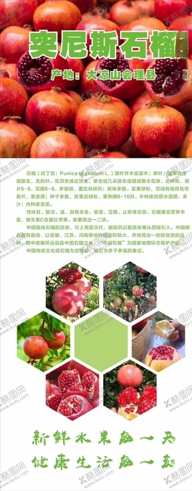 编号：45398606261217037523【酷图网】源文件下载-石榴