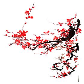 梅花