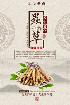 虫草养生知识宣传海报