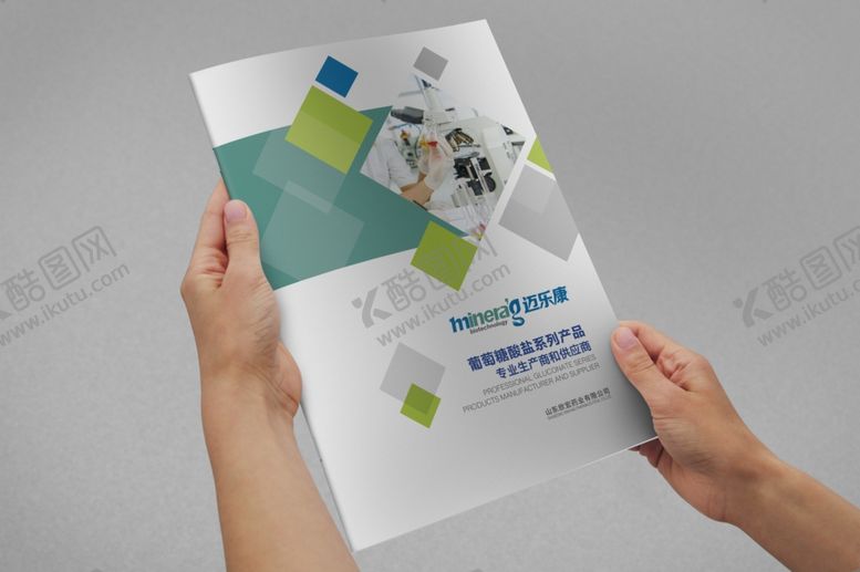 编号：45528209272116481218【酷图网】源文件下载-骑马丁画册样机