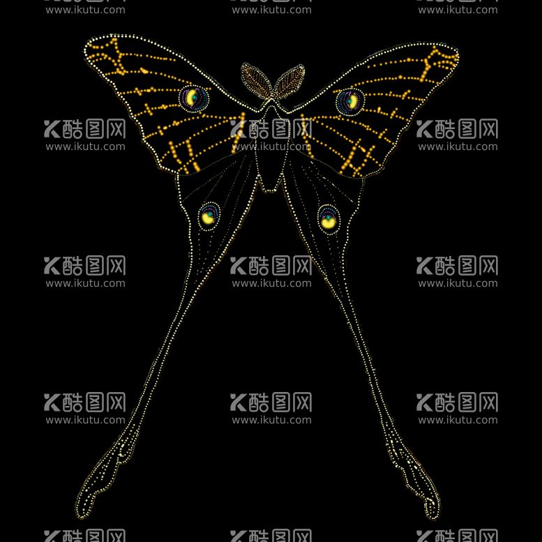 编号：38250710080204162459【酷图网】源文件下载-蝴蝶