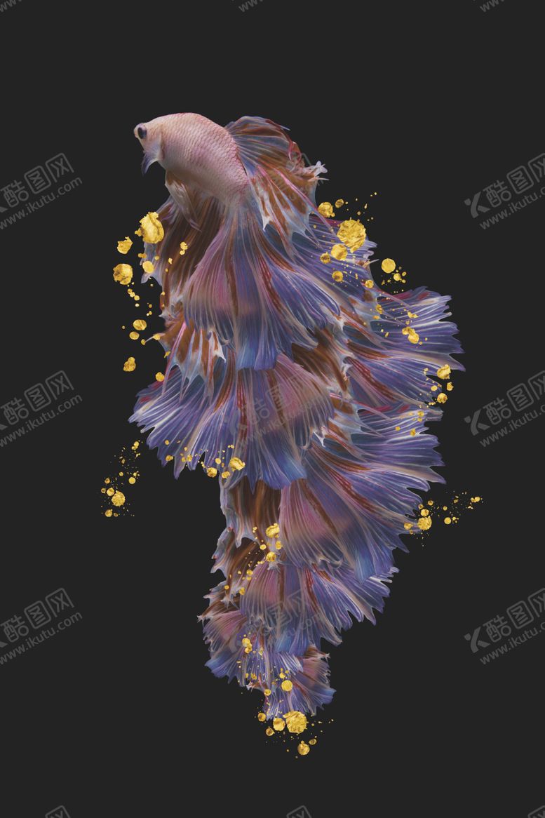 编号：61246210252145542215【酷图网】源文件下载-背景墙装饰画