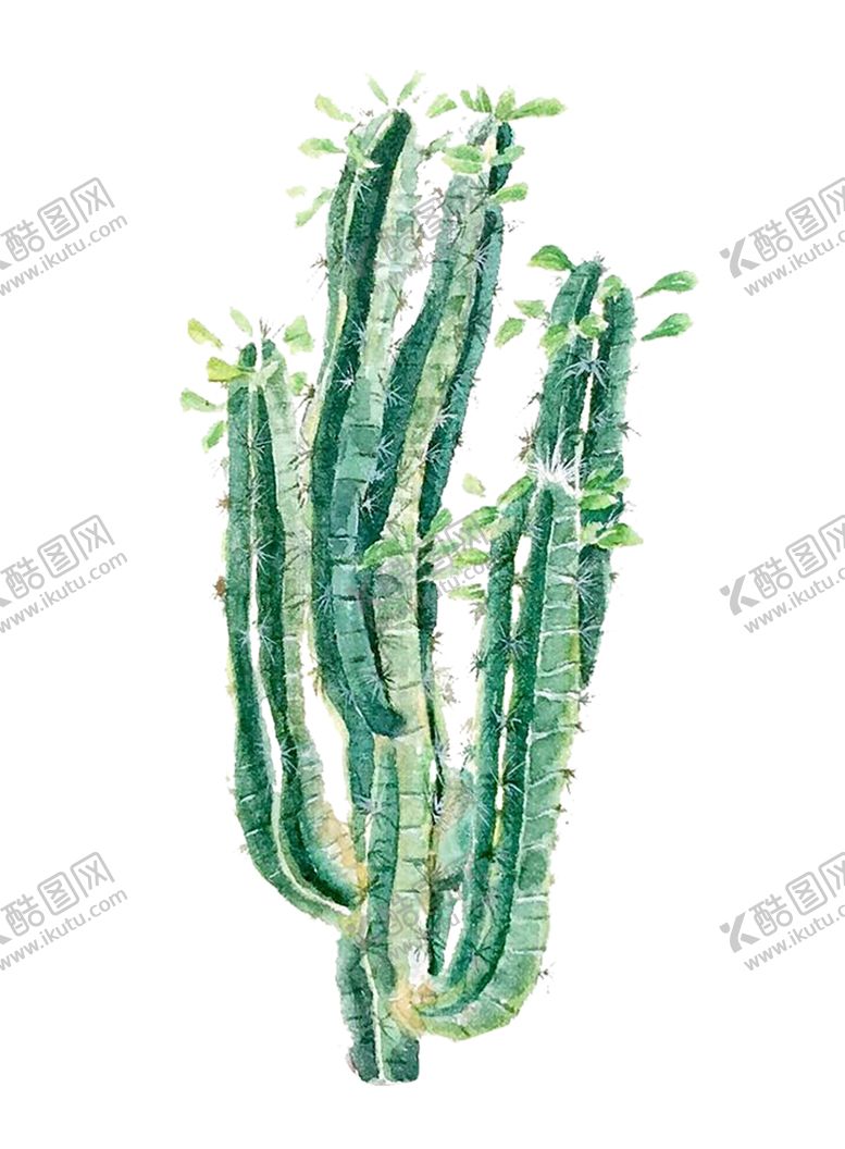 编号：30329606241953069041【酷图网】源文件下载-绿色相框