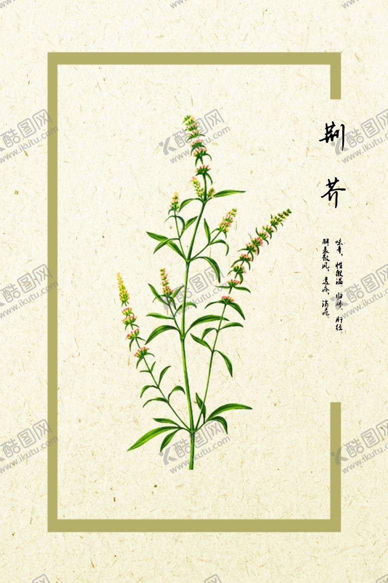 编号：81761007040457303483【酷图网】源文件下载-荆芥