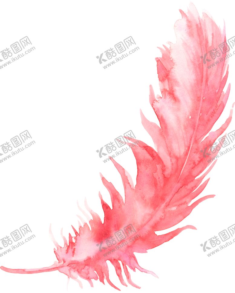 编号：64621802170918302695【酷图网】源文件下载-羽毛 素材