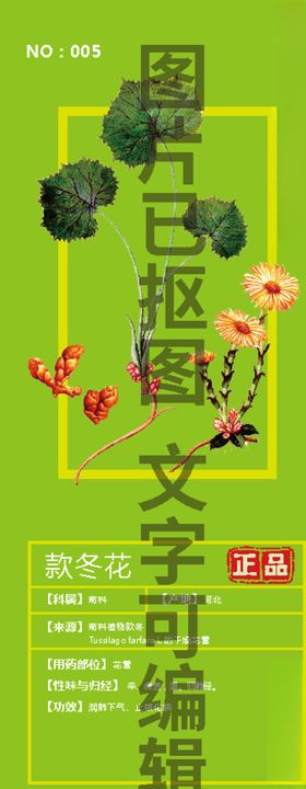 款冬花