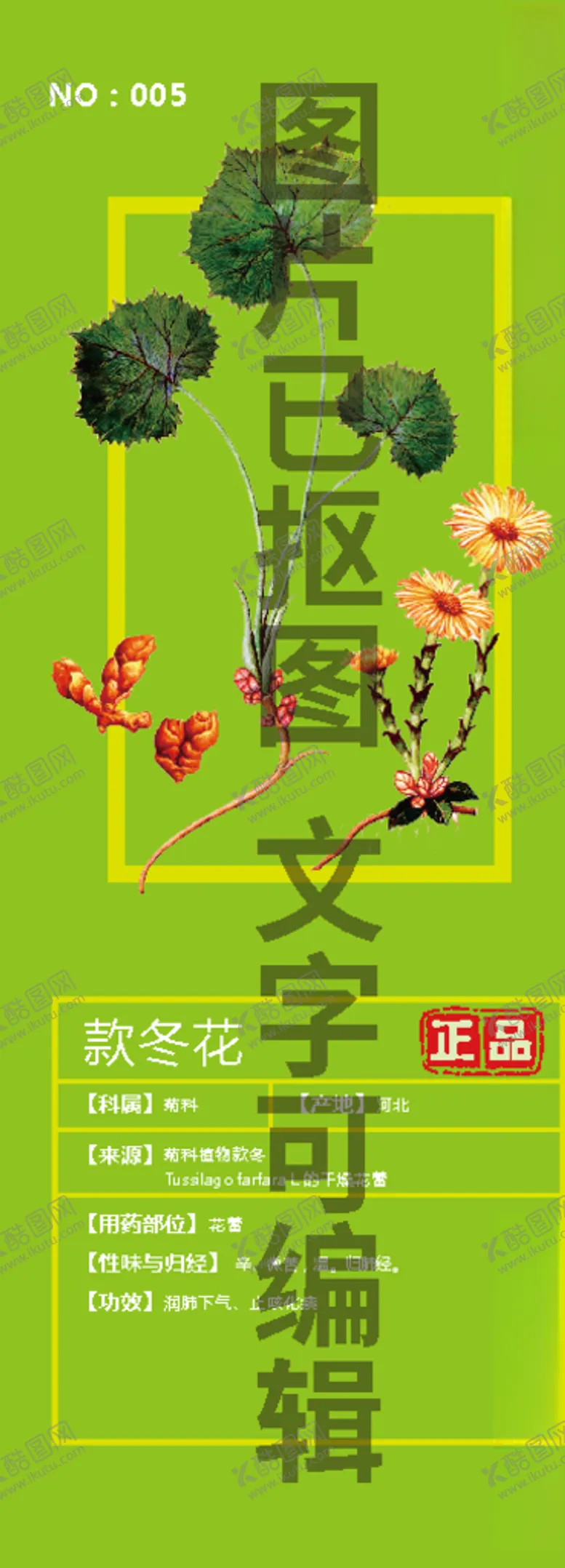 编号：73552904251437412823【酷图网】源文件下载-款冬花